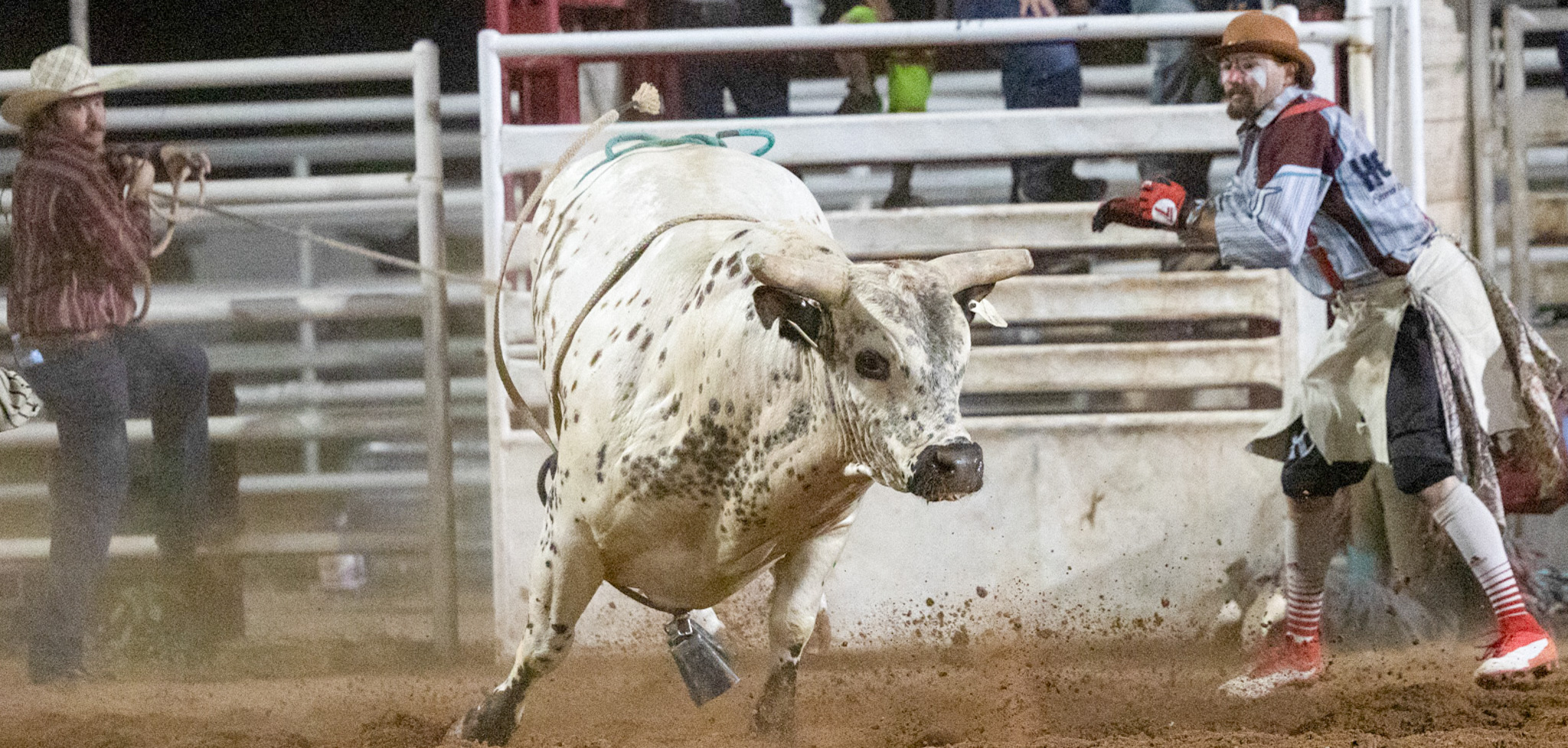 Riding of the bulls - Artesia Daily Press